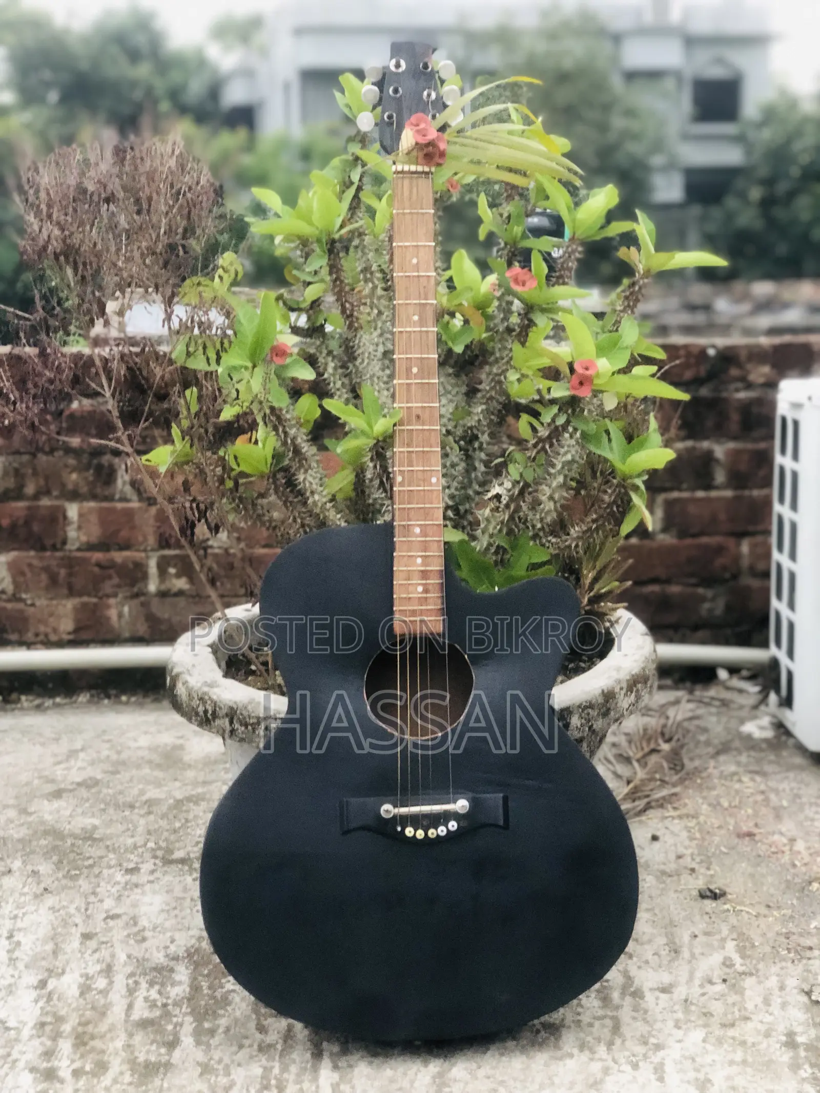 Kabat 49d Guitar