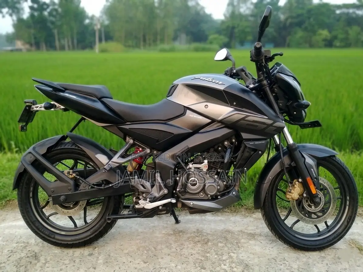Bajaj Pulsar NS 160 2020 Gray
