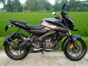 Bajaj Pulsar NS 160 2020 Gray