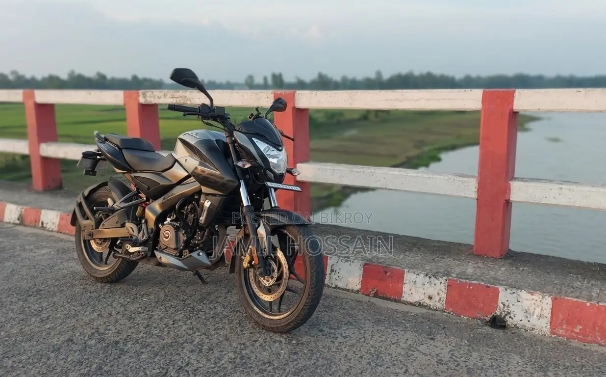 Bajaj Pulsar NS 160 2020 Gray
