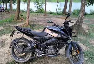 Bajaj Pulsar NS 160 2020 Gray