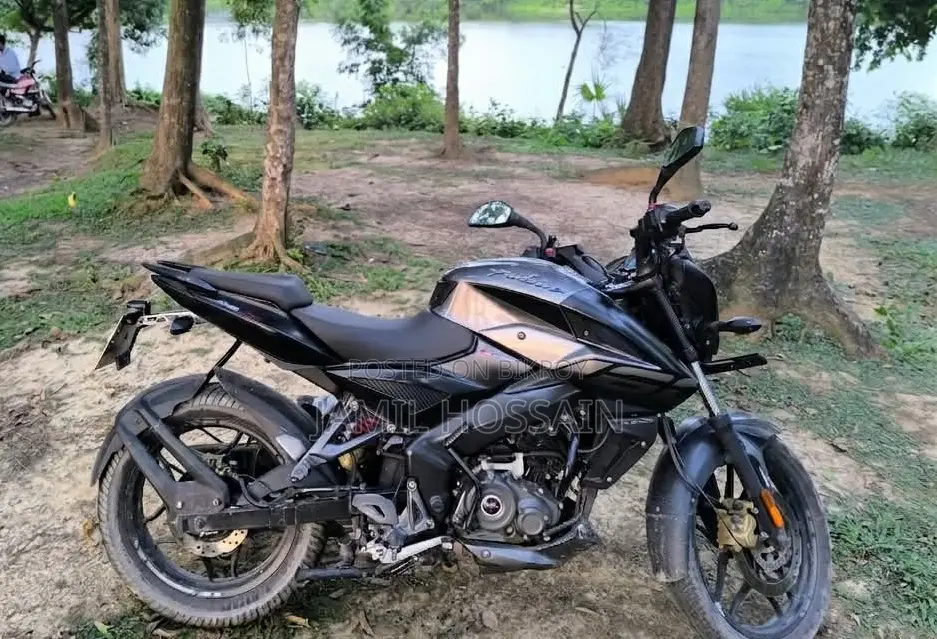 Bajaj Pulsar NS 160 2020 Gray