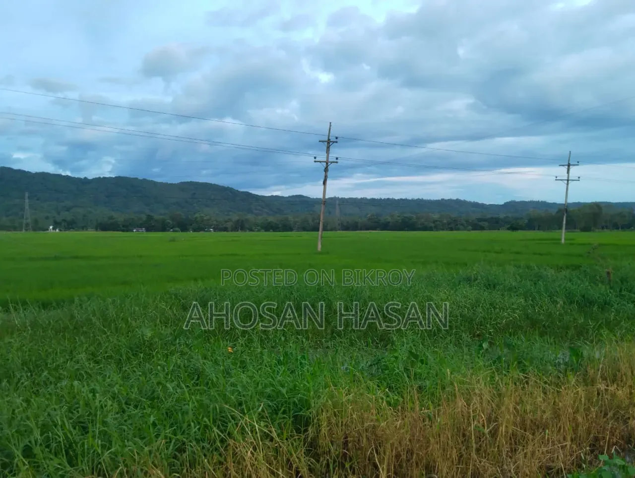 ইন্ডাস্ট্রিয়াল জমি