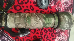 Nikon 200-500mm Lens