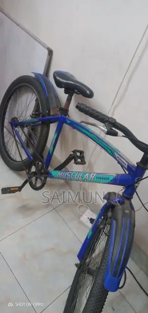 Duranta Bicycle
