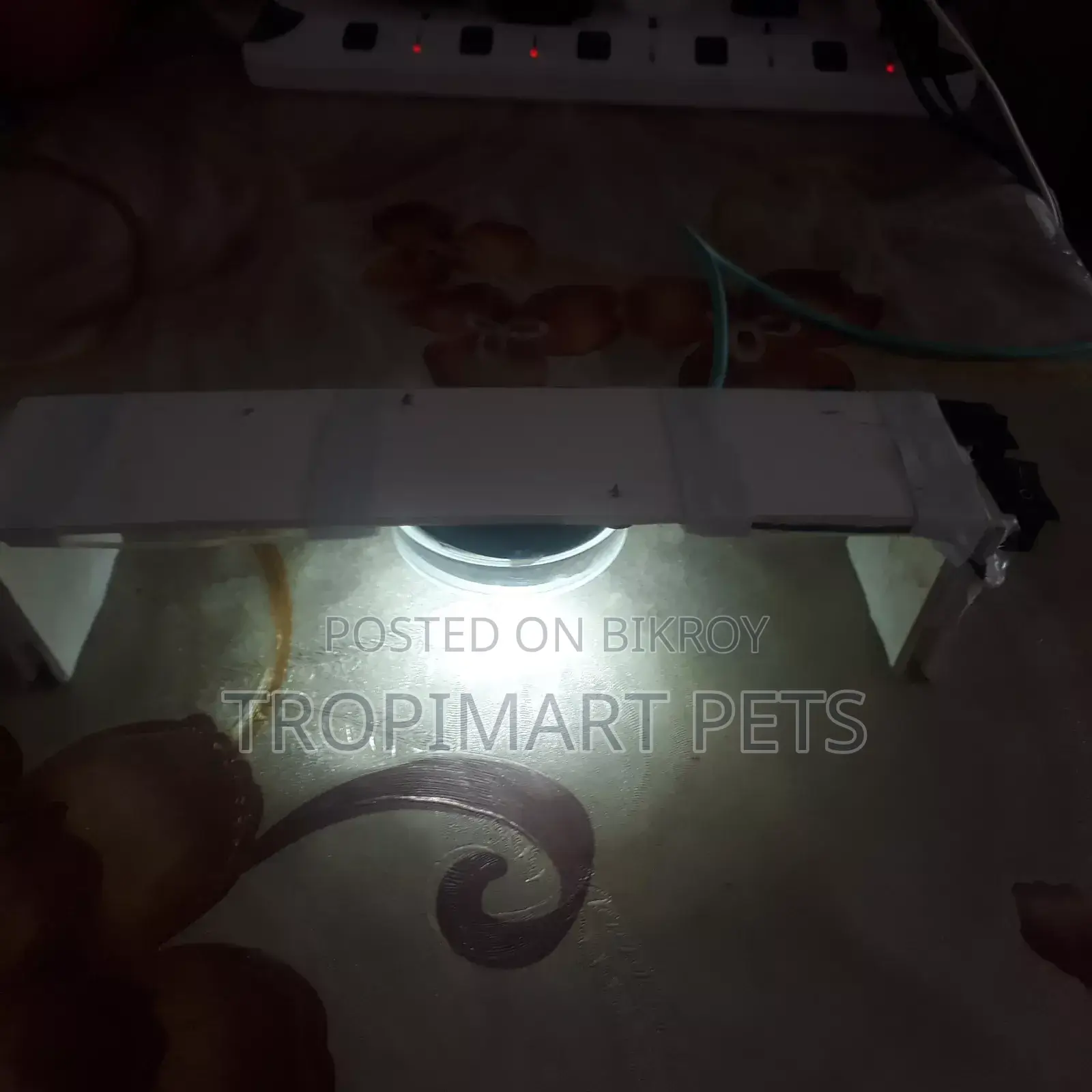 (New) Make Your Custom Light for Aquarium Home Delivery Available
