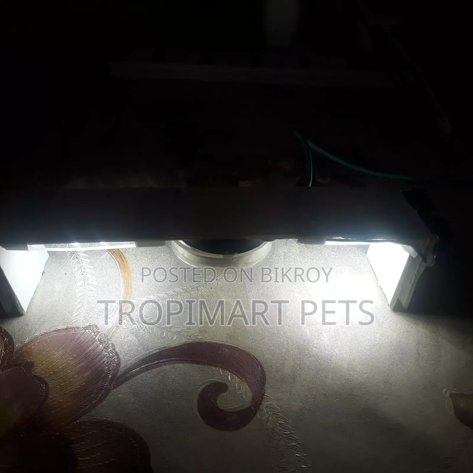 (New) Make Your Custom Light for Aquarium Home Delivery Available