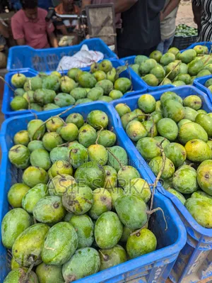 Rajshahi's Famous Himsagar, Amrupali, Fazli, and Banana Mangoes