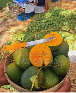 Rajshahi's Famous Himsagar, Amrupali, Fazli, and Banana Mangoes