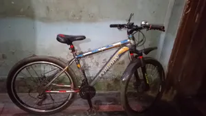 Bicycle Sale Post
