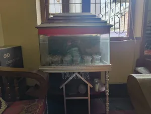 Aquarium for Sale