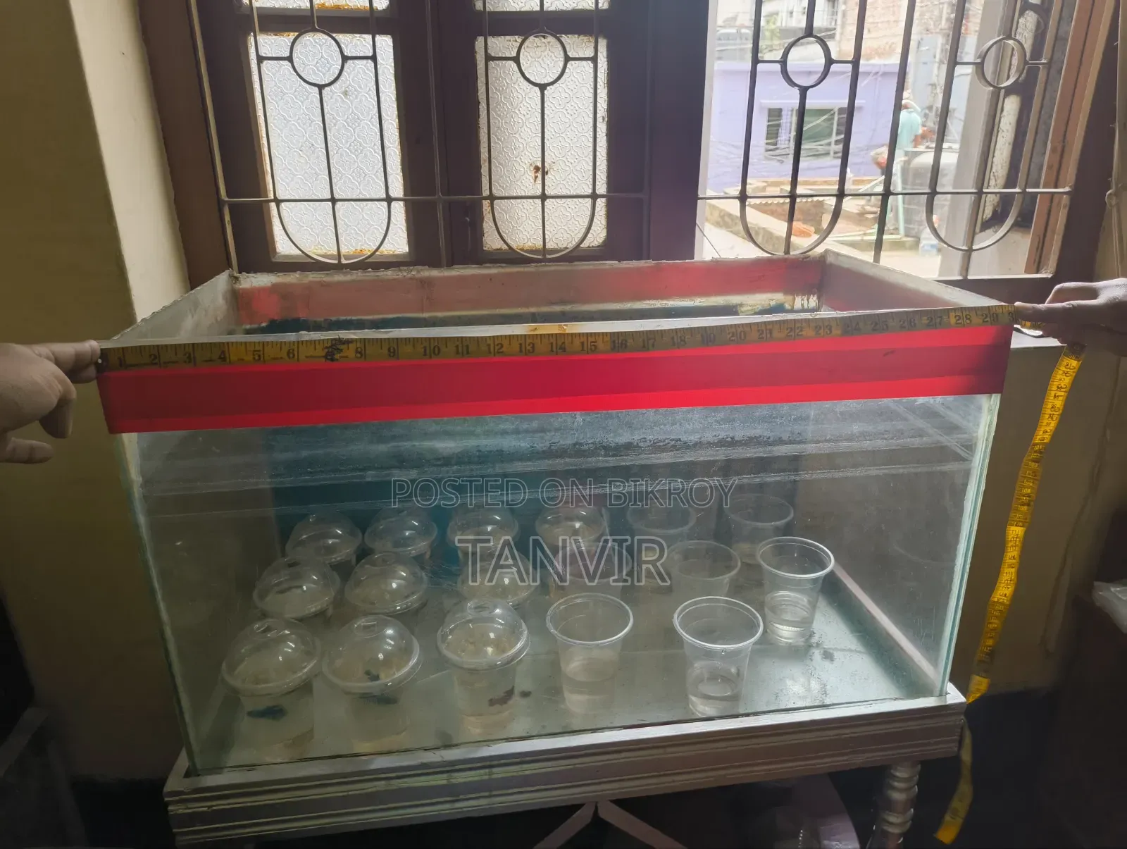 Aquarium for Sale