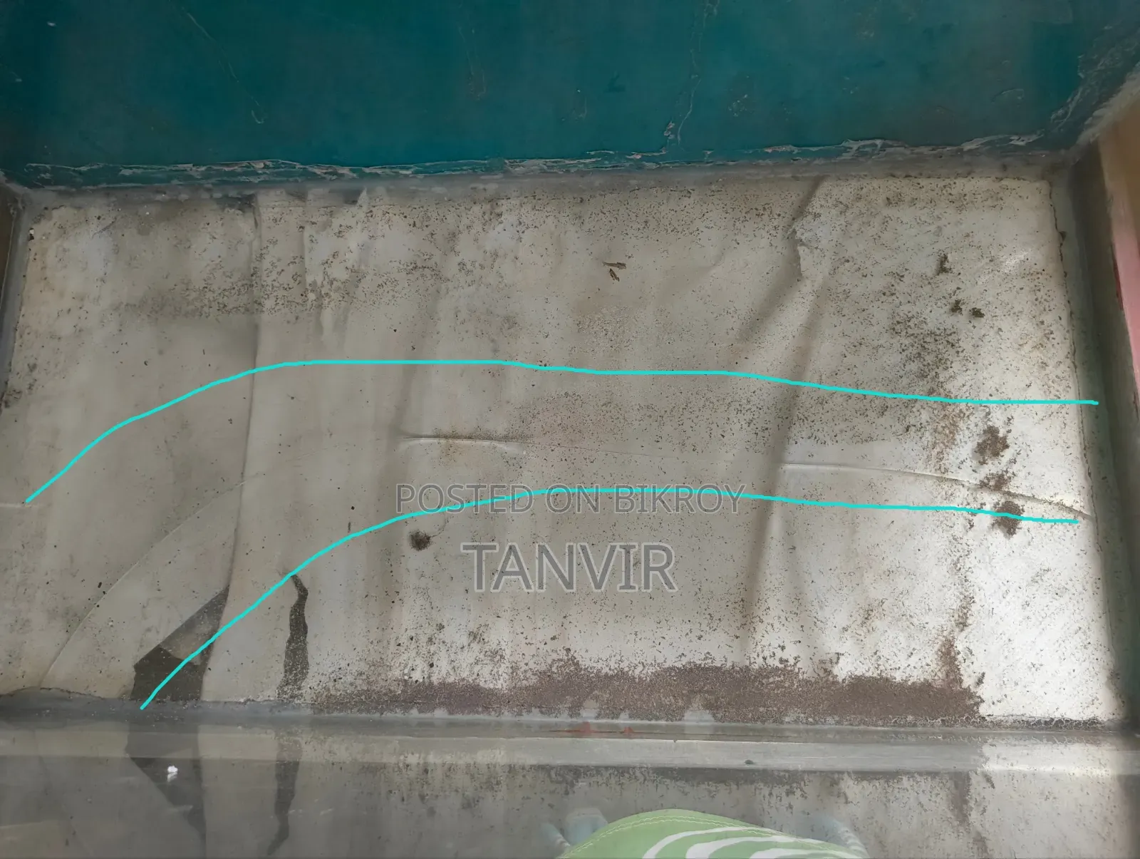 Aquarium for Sale