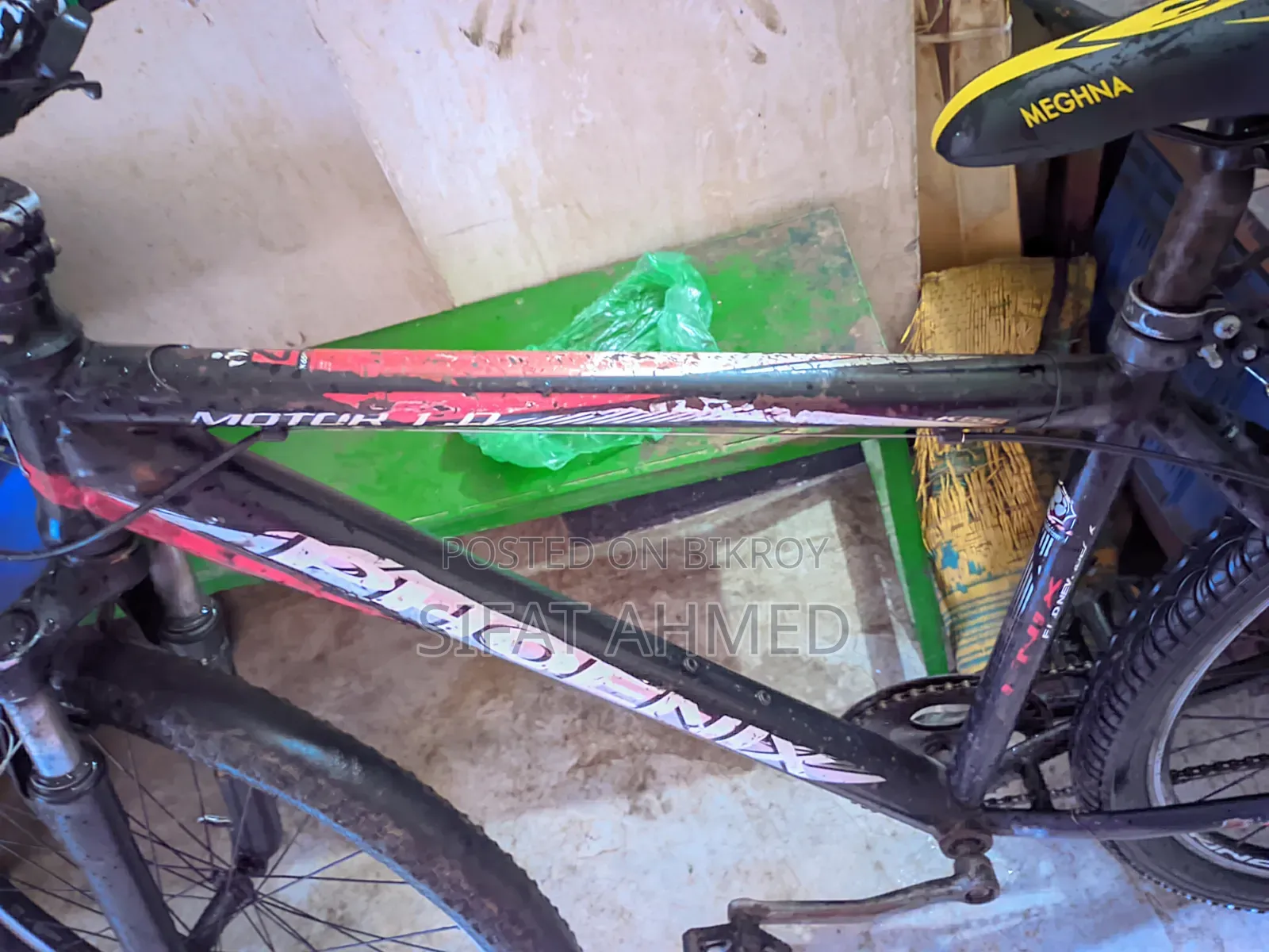 Phoenix Cycle