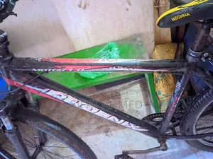 Phoenix Cycle