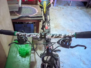 Phoenix Cycle
