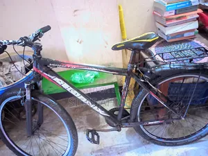 Phoenix Cycle