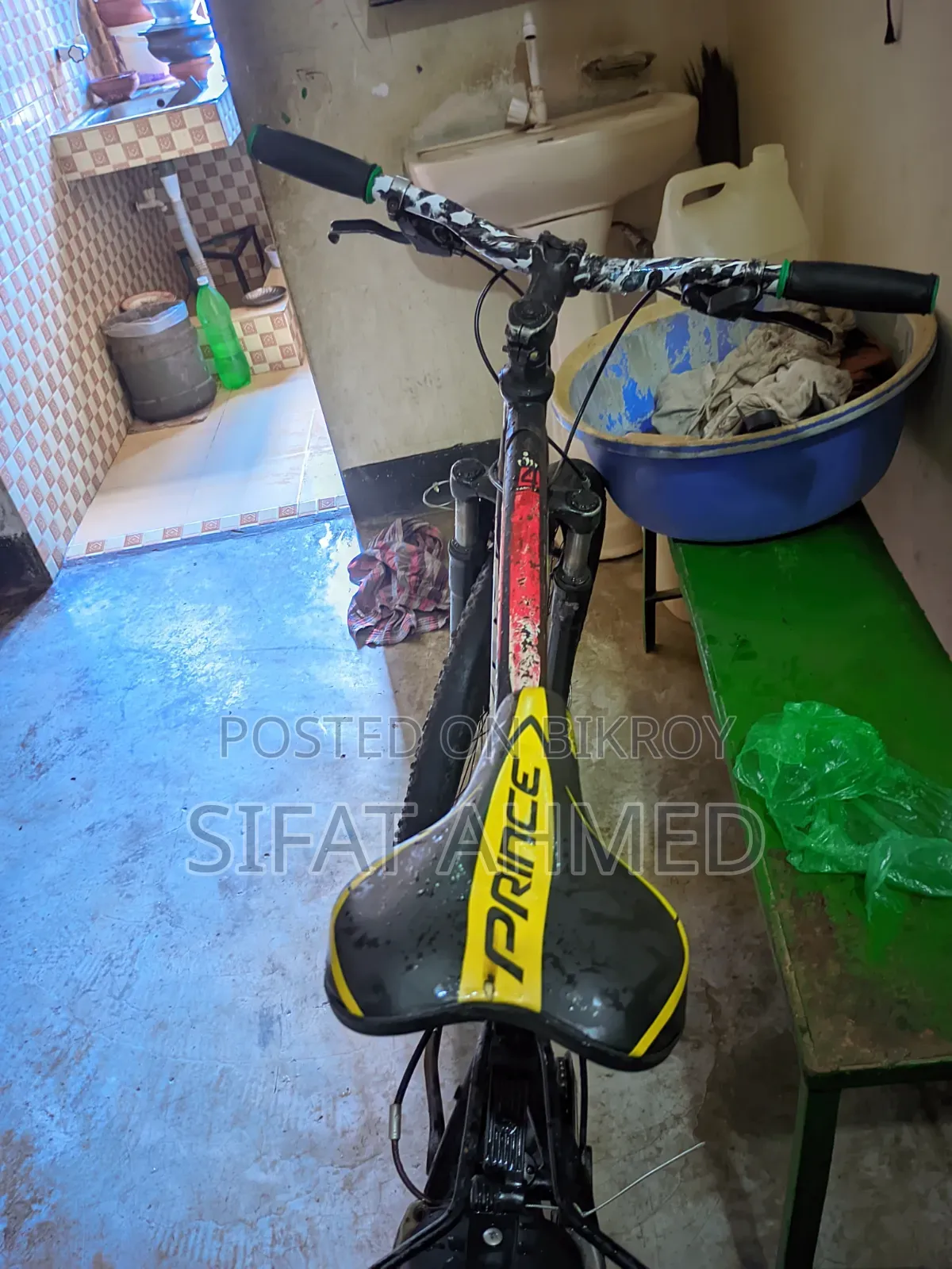 Phoenix Cycle