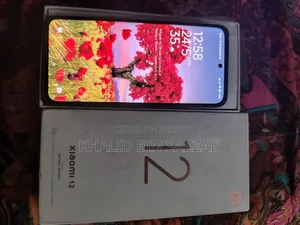 Xiaomi 12 256 GB