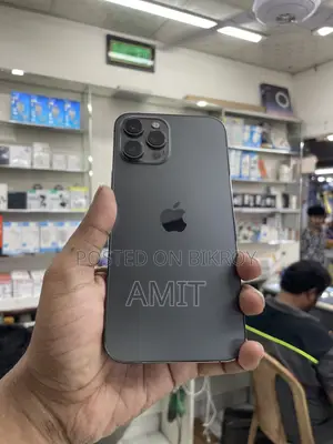 Apple iPhone 12 Pro Max 256 GB Gray
