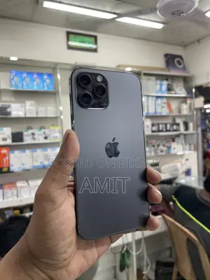 Apple iPhone 12 Pro Max 256 GB Gray