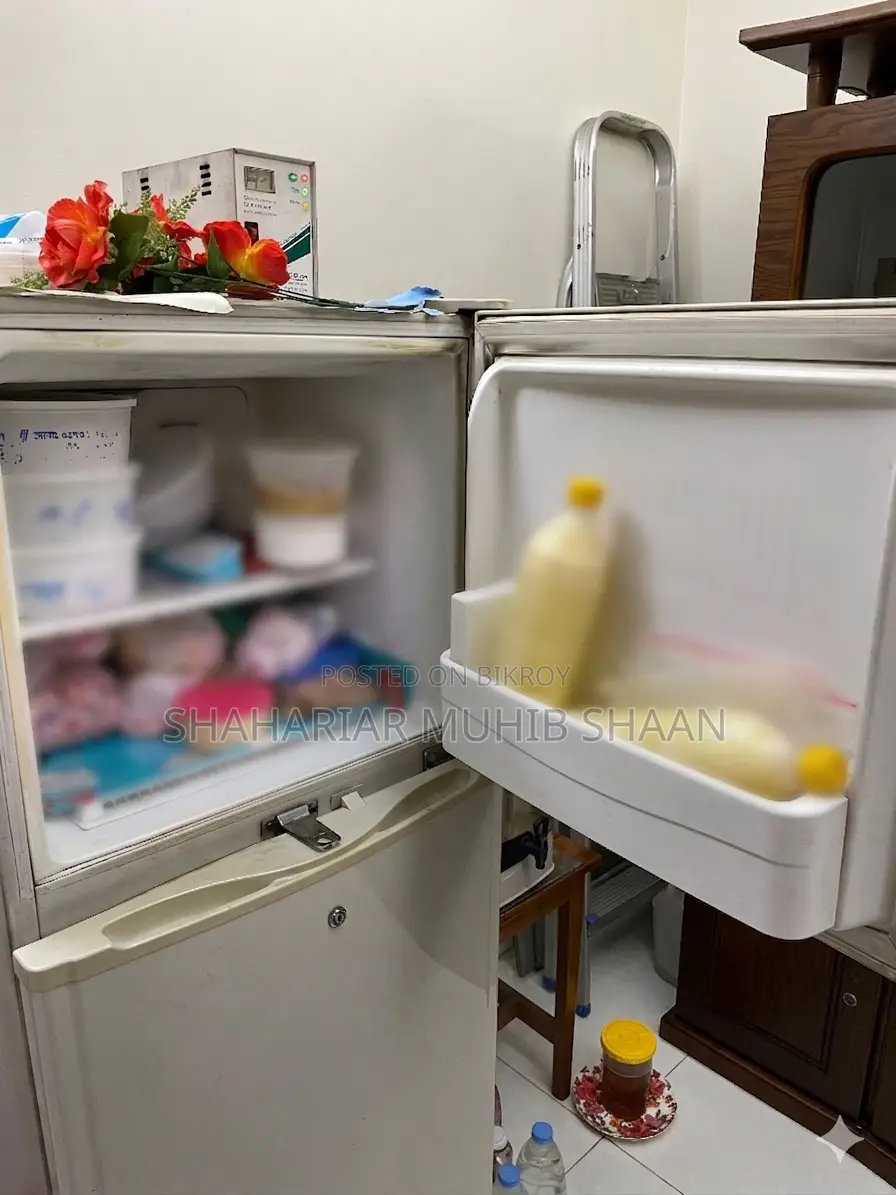 Lg Fridge (9.5 CFT Non Frost)