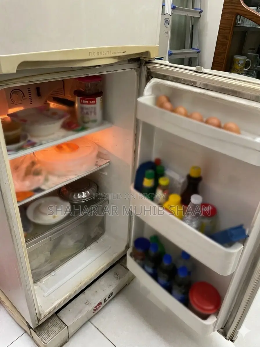 Lg Fridge (9.5 CFT Non Frost)