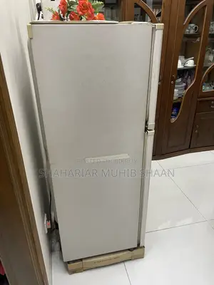 Lg Fridge (9.5 CFT Non Frost)