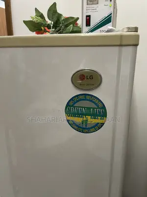 Lg Fridge (9.5 CFT Non Frost)