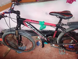 Phoenix Cycle