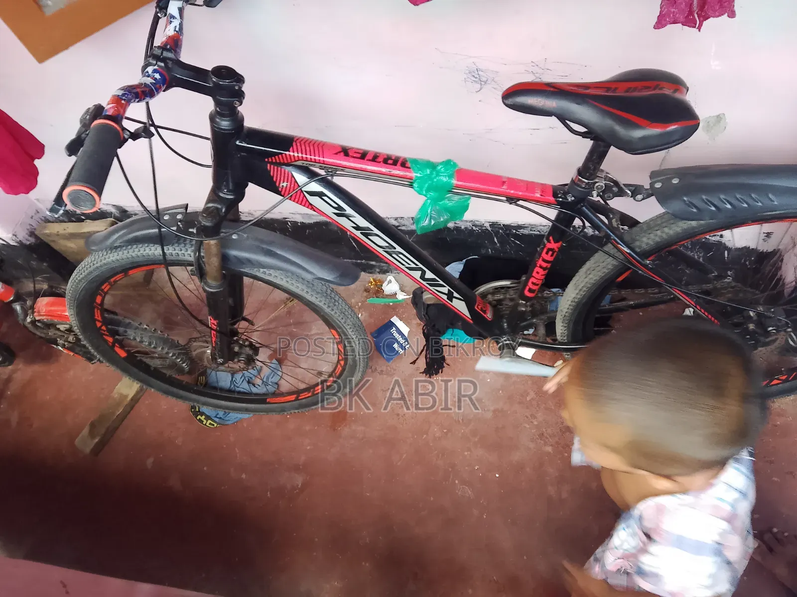Phoenix Cycle