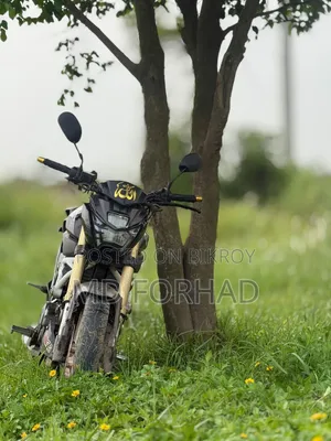 Runner Bolt 165R 2020 Black
