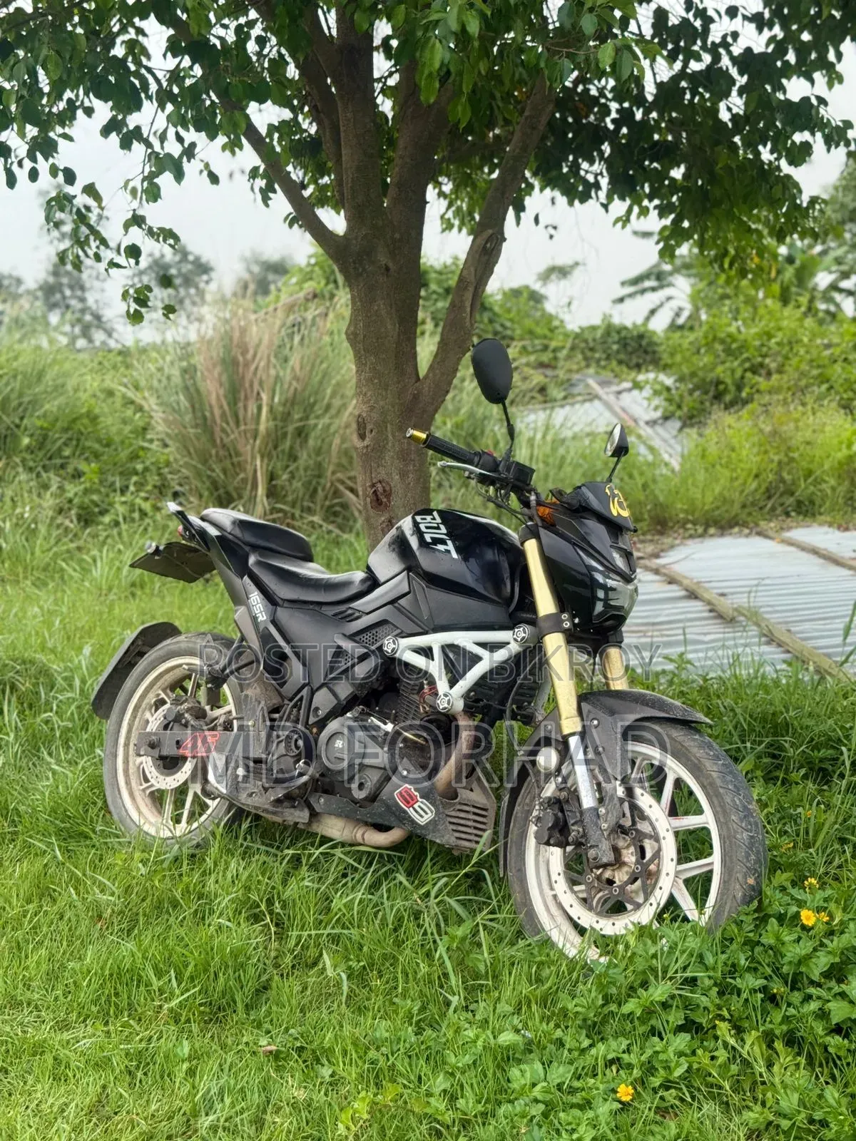 Runner Bolt 165R 2020 Black