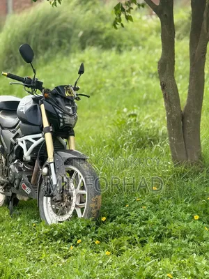 Runner Bolt 165R 2020 Black