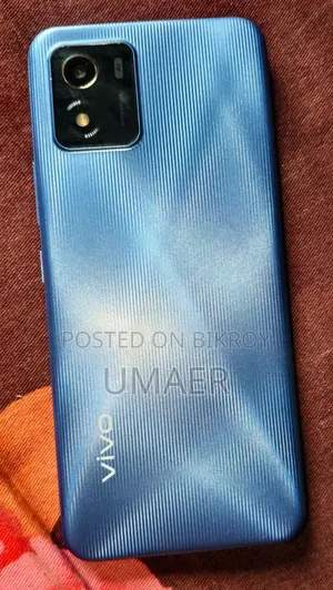 Vivo V1 Blue