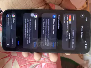 Apple iPhone 13 Pro Max 256 GB Gray