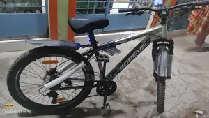 Duranta Forever Cycle 26"