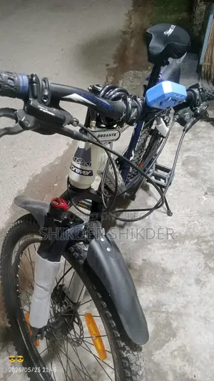 Duranta Forever Cycle 26"