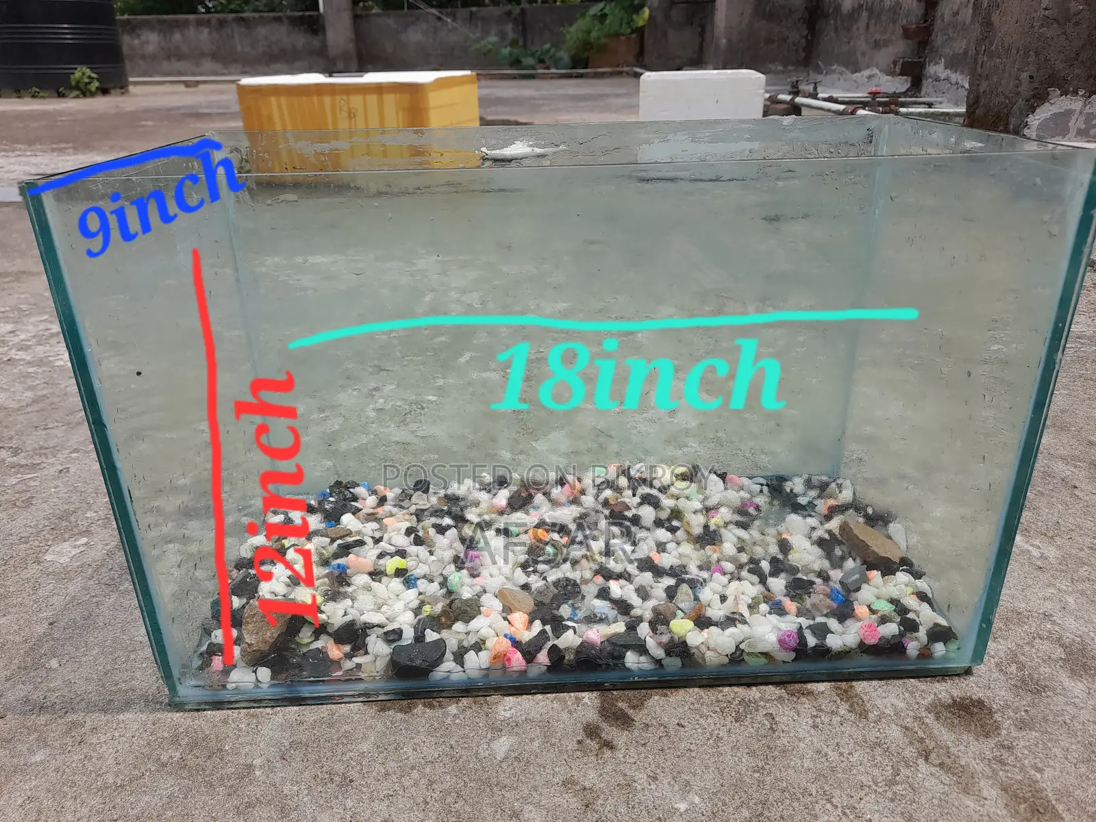 ফিশ অ্যাকোয়ারিয়াম