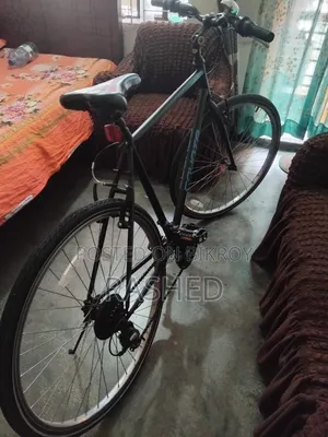 Koyoti Bicycle (Export Bicycle)
