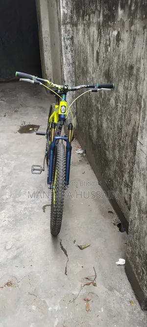 Avon Cycle