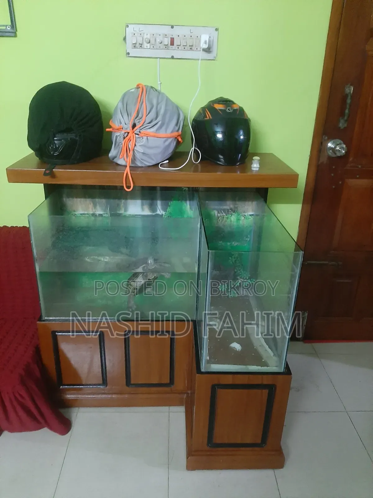 ফুল অ্যাকোয়ারিয়াম সেটআপ + বড় কচ্ছপ
