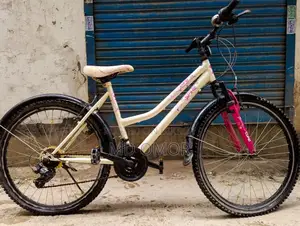 Ladies Cycle