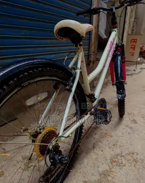 Ladies Cycle