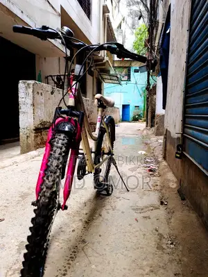 Ladies Cycle