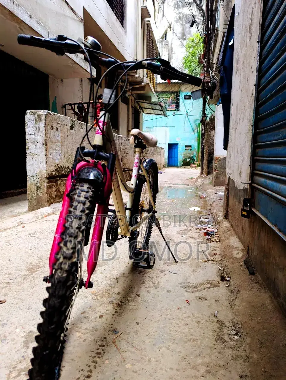 Ladies Cycle