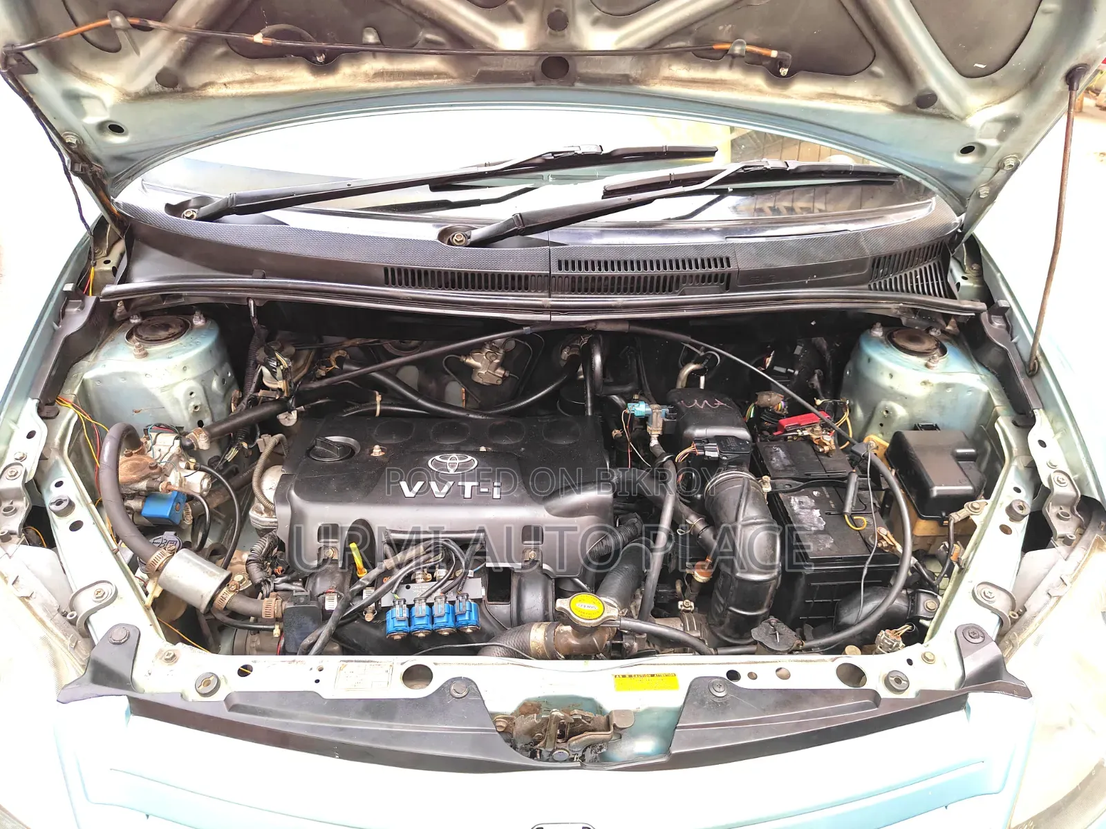 Toyota IST 2004 Green