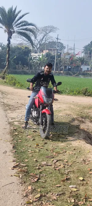 New Bajaj Pulsar 150 2014 Red