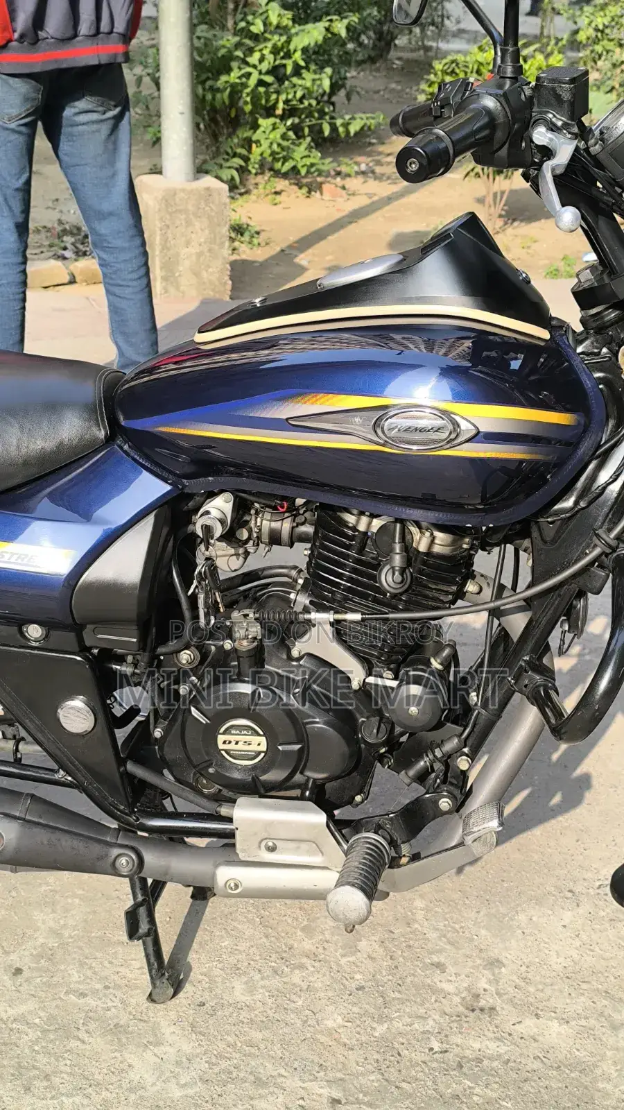 Bajaj Avenger 150 Street 2017 Blue