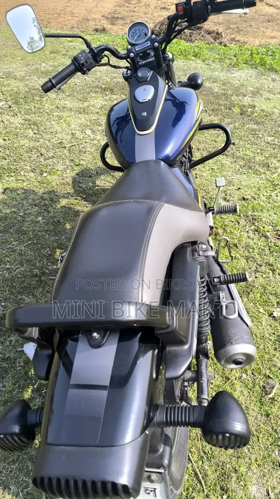 Bajaj Avenger 150 Street 2017 Blue